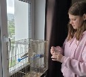 Фонд "Круг добра" помогает оплачивать дорогостоящее лечение 24 сахалинским детям с редкими тяжелыми патологиями