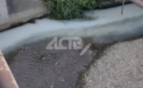 Общество