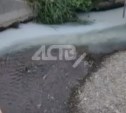 Житель Южно-Сахалинска заметил загрязнение воды в городе