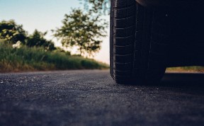 Общество