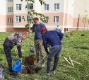 Южно-Сахалинск присоединился к общероссийской акции  "Сохраним лес"