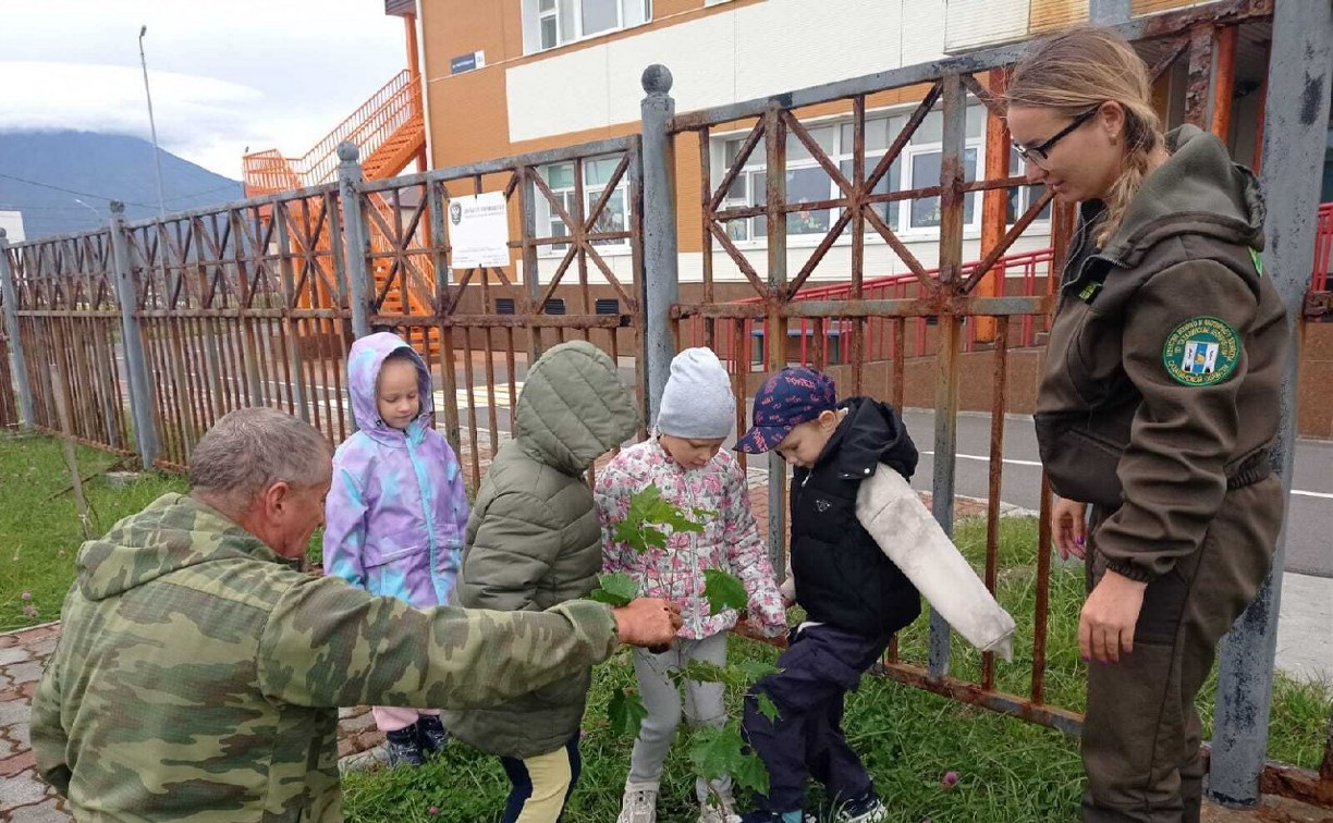На Сахалине и Курилах высадят более 6 тысяч деревьев