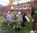 На Сахалине и Курилах высадят более 6 тысяч деревьев