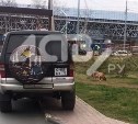 Автохамы продолжают парковаться на тротуарах в Южно-Сахалинске