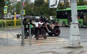Происшествия