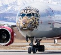 Самолет-леопард приземлился в Южно-Сахалинске