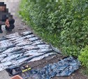 На Очепухе задержали браконьера с тройником и 57 экземплярами горбуши