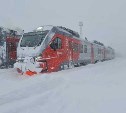 В Южно-Сахалинске частично отменили отправление пригородных поездов