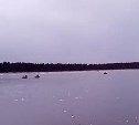 Упёртые сахалинские рыбаки пробивают сантиметровый лёд лодками в погоне за корюшкой