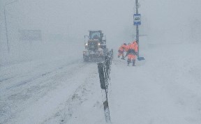 Общество