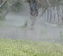 Кипяток хлещет из трубы в районе Гимназии №1 в Южно-Сахалинске