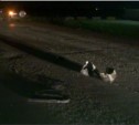 Мотоциклист и девушка-пешеход погибли при ДТП в планировочном районе Южно-Сахалинска (+ дополнение, ФОТО)