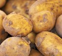 Картофель прибавил в цене: неурожай и нехватка хранилищ разогнали стоимость