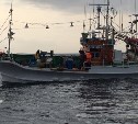 Капитанов пяти японских судов осудили на Курилах за незаконную добычу осьминогов