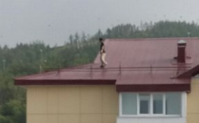 Происшествия