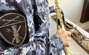Происшествия