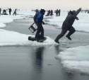 "Все на берег бегом!": припай побило у Стародубского, рыбаки прыгают по льдинам