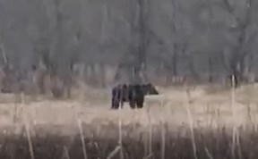 Общество