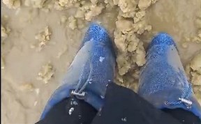 Происшествия
