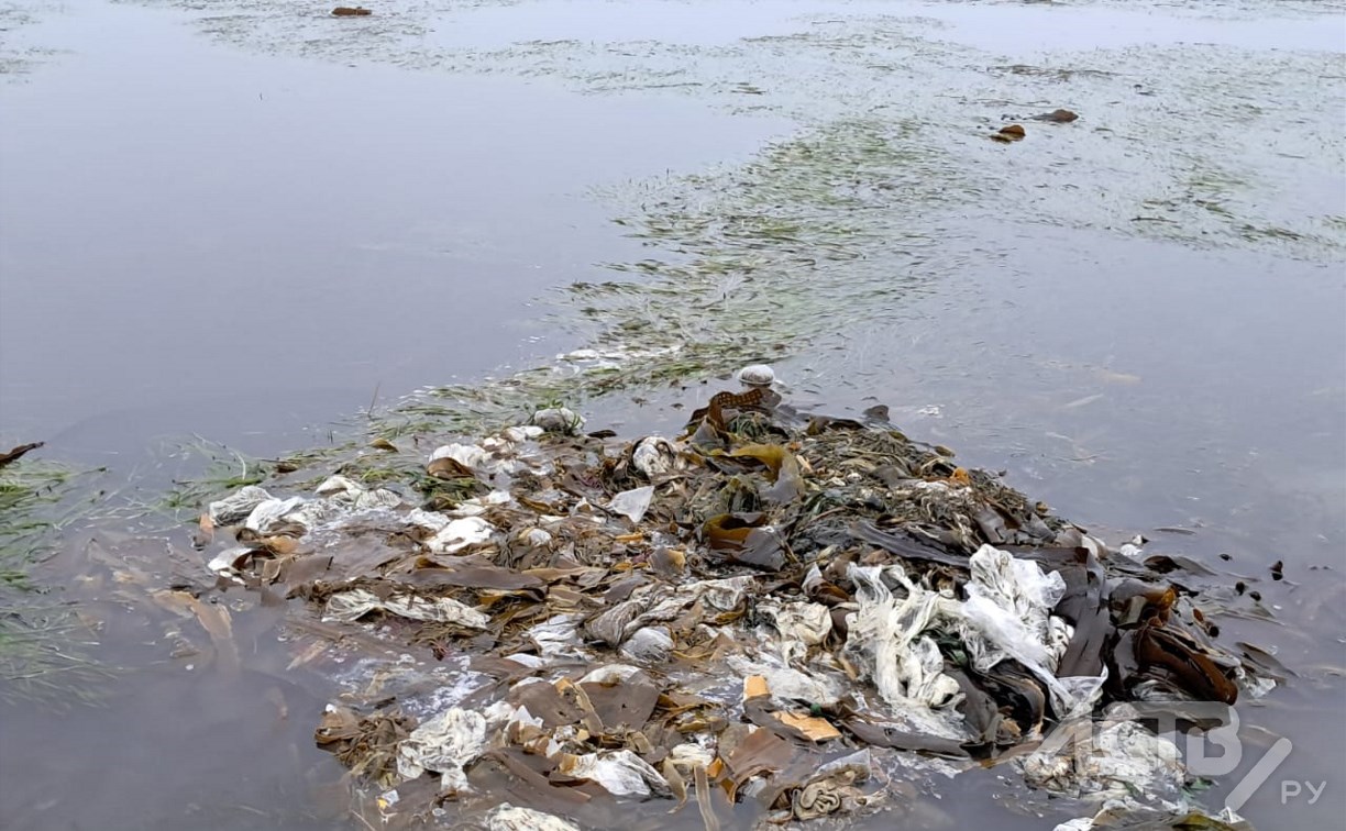 Грузовой автомобиль вывалил мусор в море у Горнозаводска