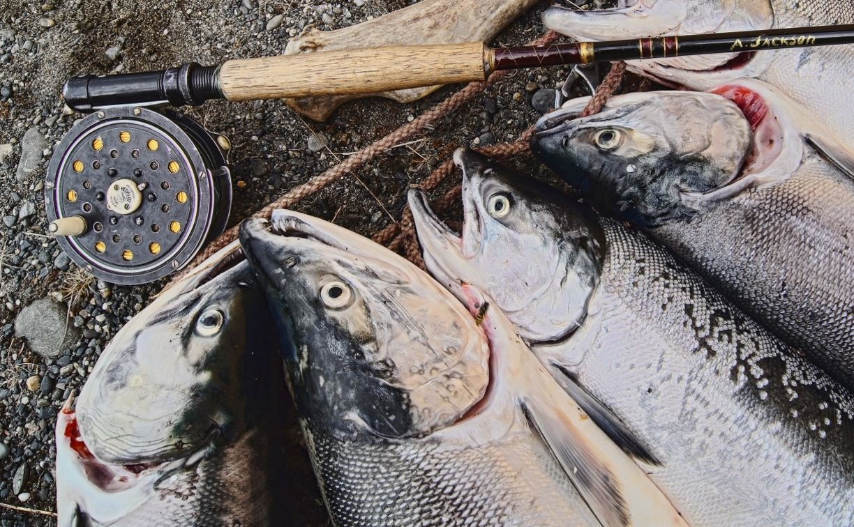 Нивхи назвали три приметы, по которым можно определить рыбный год на Сахалине