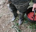 Полицейские изъяли красную икру у браконьера из Долинска 