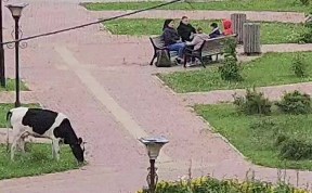 Общество