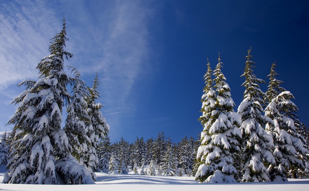 Морозный день и северный ветер ждут жителей южных районов Сахалина