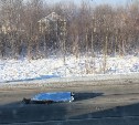 На выезде из Южно-Сахалинска насмерть сбили пешехода