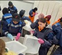 Студенты из Подмосковья будут обрабатывать рыбу на Сахалине