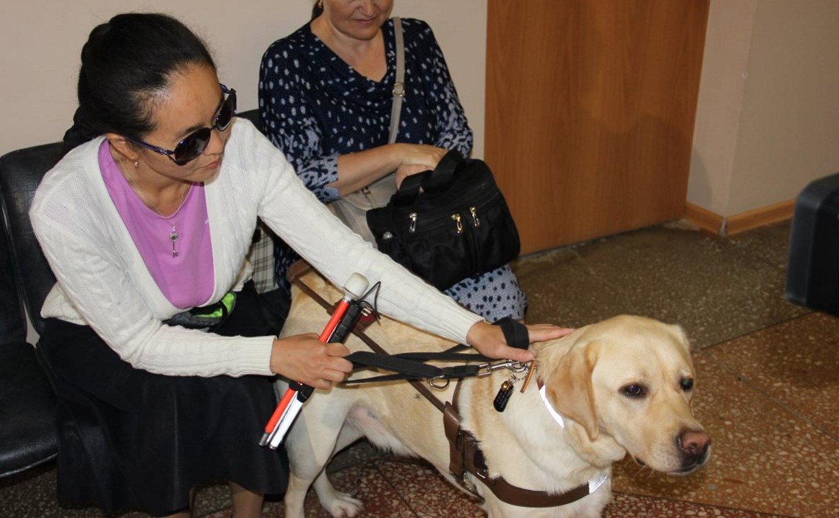 В южно-сахалинской поликлинике впервые появился пациент с собакой-поводырем
