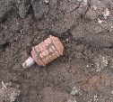 Четыре гранаты обнаружены в Северо-Курильске