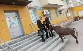 Общество
