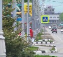 Дорогу до аэропорта Хомутово украсят 70 видами цветов