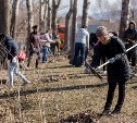 Общероссийский субботник пройдет в Южно-Сахалинске 24 апреля