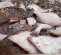 Четыре вида рыбки можно купить в Южно-Сахалинске по приятной цене 