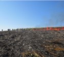 Региональный минлесхоз поблагодарил сахалинских джиперов за тушение пожара, устроенного джиперами