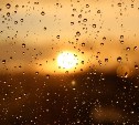 Ночью дождь, днём солнце: прогноз погоды в Сахалинской области на 14 мая