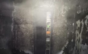 Происшествия