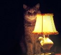 На Сахалине после масштабной аварии восстановили электроснабжение 99% потребителей