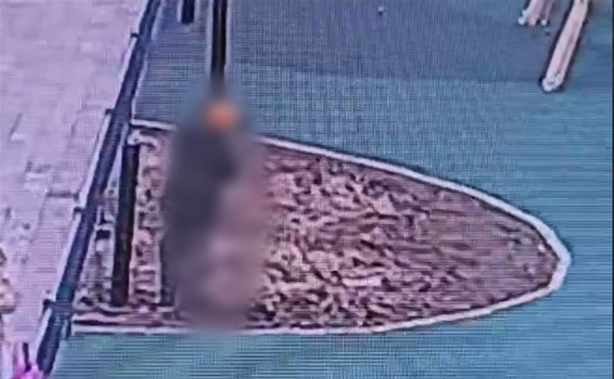 В Корсакове подросток вырывал многолетники в местном сквере и попал в объектив камеры