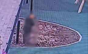 Происшествия