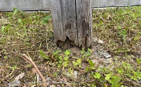 Общество