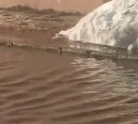 Лужа-озеро образовалась у домов на улице Милютина в Макарове