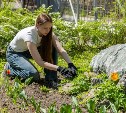 Лето с пользой: южно-сахалинские подростки устраиваются на работу в период каникул