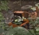 Очевидцы: в Ёлочках машина свалилась в канаву, рядом лежит тело 