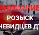ГИБДД разыскивает свидетелей наезда на пешехода на участке автодороги Южно-Сахалинск-Оха