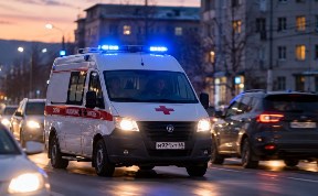 Общество