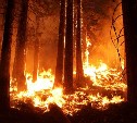 Лесной пожар в Охинском районе тушат 60 человек