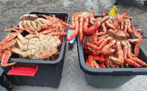 Происшествия